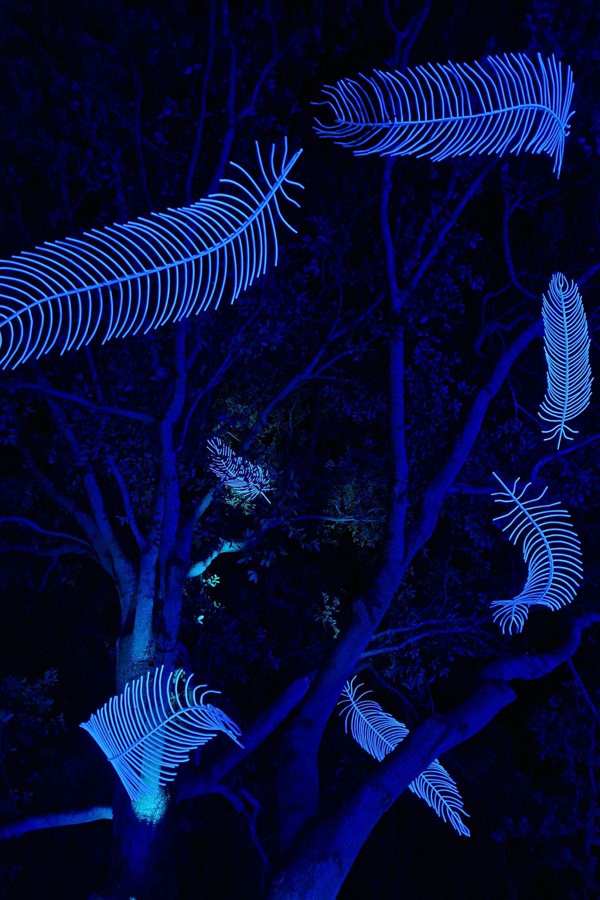 christmas at kew london kew gardens light show feather uk Feathers by Pyrite Creative
